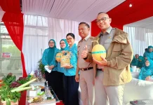 Jakarta Battles Food Dependency with Massive 807-Point Urban Harvest