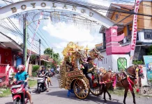 Puter Kayun: Banyuwangi’s Historic Carriage Tradition Honors Ancestral Legacy