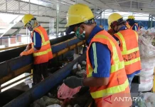 Government Accelerates Waste-to-Electricity Projects to Tackle Waste Crisis