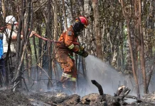 Cross-Agency Preparedness Key to Prevent Wildfire Risks: Lawmaker