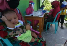 Kolaka Regency Targets 3,947 High-Risk Families to Eradicate Stunting