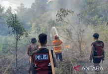 East Kalimantan On Alert After 77 Hotspots Detected