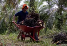 Indonesia's Trade Balance in February 2026 Remains Positive Amidst Global Tension