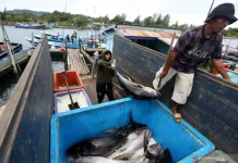Fishermen’s Village Program Targets 2.15 Million Tons of Production
