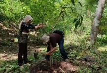 Lawmaker Demands Firm Action on Illegal Deforestation from Forestry Ministry