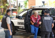 Belgian Man Deported from Bali After Viral Cliff Stunt Escape Attempt