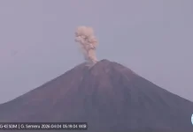 East Java’s Mount Semeru Erupts Nine Times with Ash Rising 1,000 Meters