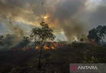 West Kalimantan Activates Fire Command Centers Amid El Niño