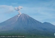 Mount Semeru Erupts Seven Times With High Alert
