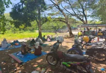Kedungdowo Kramat Dam: Batang’s Affordable Oasis for Nature and Culinary Lovers