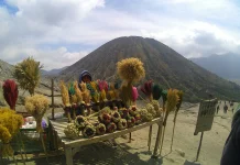 Mount Bromo Closes for Ecosystem Recovery