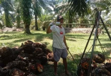 House Urges Govt to Safeguard Farmers’ Welfare in B50 Implementation