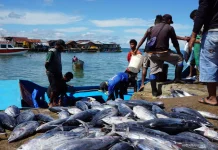 Fisheries Modernization Key to Strengthening Blue Food Sector