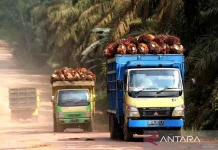 Ministry Sanctions 67 Companies Over Devastating Sumatra Floods