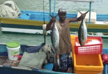 Indonesia and Australia Join Forces to Curb Illegal Fishing