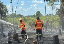 BPBD East Kalimantan Implements "Pagar Betis" Strategy to Safeguard IKN from Fires
