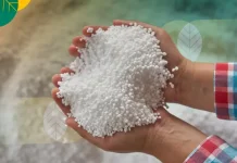 BRIN Develop Eco-Friendly Plasma-Based Nitrogen Fertilizer Production