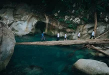 Former Loggers Transform Nyarai Village Into Ecotourism Hub