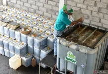 Indonesia Strengthens Energy Security Through Biofuel Policies