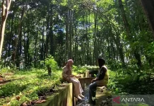 Rejang Lebong Promotes Urban Forest Through Bike Race