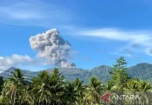 Mount Dukono Erupts with Volcanic Ash Column Reaching 1,100 Meters