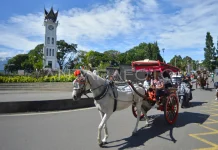 Bendi Rides: A Nostalgic Journey Through the Heart of Bukittinggi