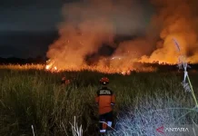 South Sumatra Braces for Wildfire After Peatland Blaze