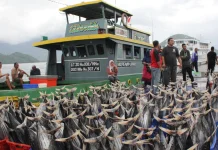 Lawmaker Warns of IDR 3,000 Trillion Blue Economy Losses Amid Illegal Fishing