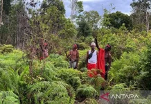 Papua Assembly Moves to Protect Customary Land Through Special Regulation