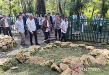 Cibodas Botanical Garden Revamps Moss Garden for Education