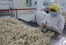 Indonesia Intensifies Diplomacy to Restore Bird’s Nest Exports to China