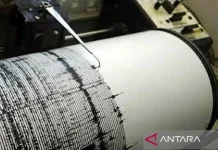 Shallow Magnitude 2.8 Earthquake Jolts Kendari Due to Local Fault