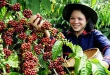 Agriculture Ministry Pushes Carbon-Based Economic Transformation