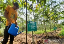 Sustainable Forest Management Models in Kalimantan’s Rainforest Park