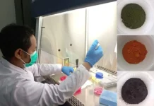 BRIN Unveil Potent Synergistic Herbal Trio as Promising Anticancer Candidates