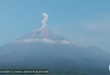 Mount Semeru Erupts Five Times, Plumes Reach Heights of 1,200 Meters