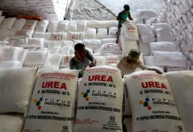 Countries Turn to Indonesia for Fertilizer as Global Supply Chains Falter