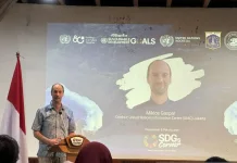 UN Urges Local Renewable Energy to Strengthen Energy Security