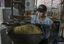 Indonesia to Revoke Licenses of Soybean Importers Manipulating Prices