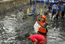 Jakarta Intensifies Cleanup of Invasive Sapu-sapu Fish Across Five Districts