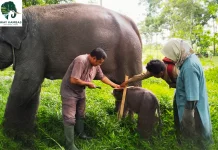 Lawmaker Urges Stricter Forest Surveillance in Lampung Conservation Areas