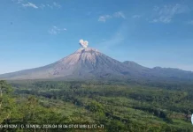 Mount Semeru Erupts Multiple Times on Saturday Morning