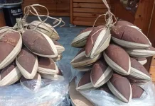 Organic Palm Sugar Emerges as Vital Economic Engine for Lebak Regency