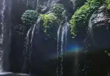Toya Bulan Waterfall, Bali’s Hidden Sanctuary of Serenity