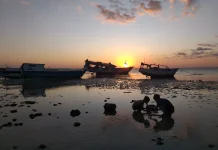 As Many as 400 Cruise Passengers Explore Tourism Destinations in Kupang