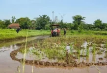 Indonesia Advances Agricultural Modernization with B50 Biodiesel Trials