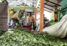 North Jakarta Tackles Organic Waste via Circular Economy Model