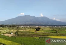 Geological Agency: Emission Quakes Dominate Mount Marapi’s Stable Activity