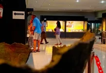 NTB Museum to Launch Night at the Museum Program to Boost Youth Engagement