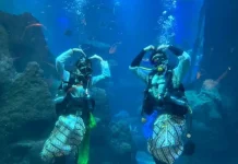 Ancol Empowers Female Workforce to Drive Tourism Transformation
